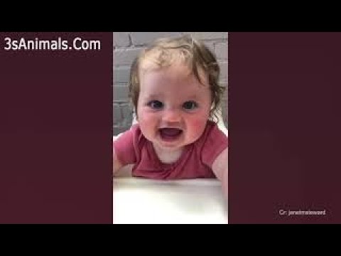 Funny baby reactions